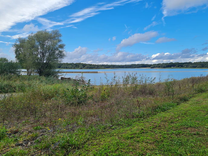 Lac du Der-Chantecoq