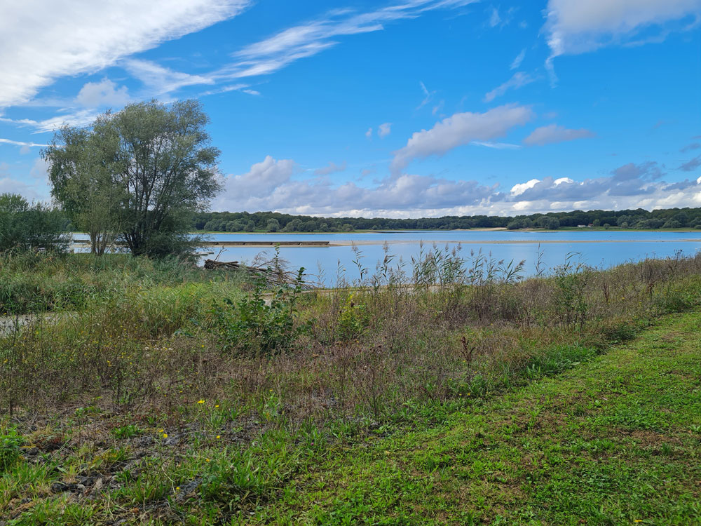 Lac du Der